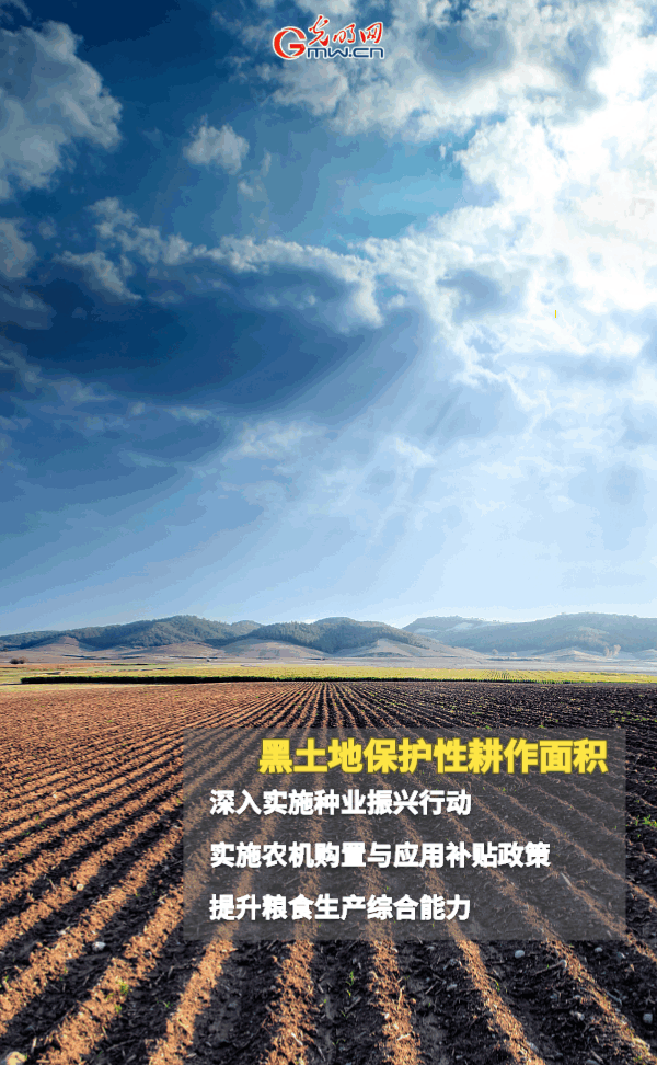 【动态海报】保障全年粮食丰收，这些支持政策明确了！