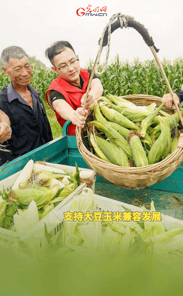 【动态海报】保障全年粮食丰收，这些支持政策明确了！