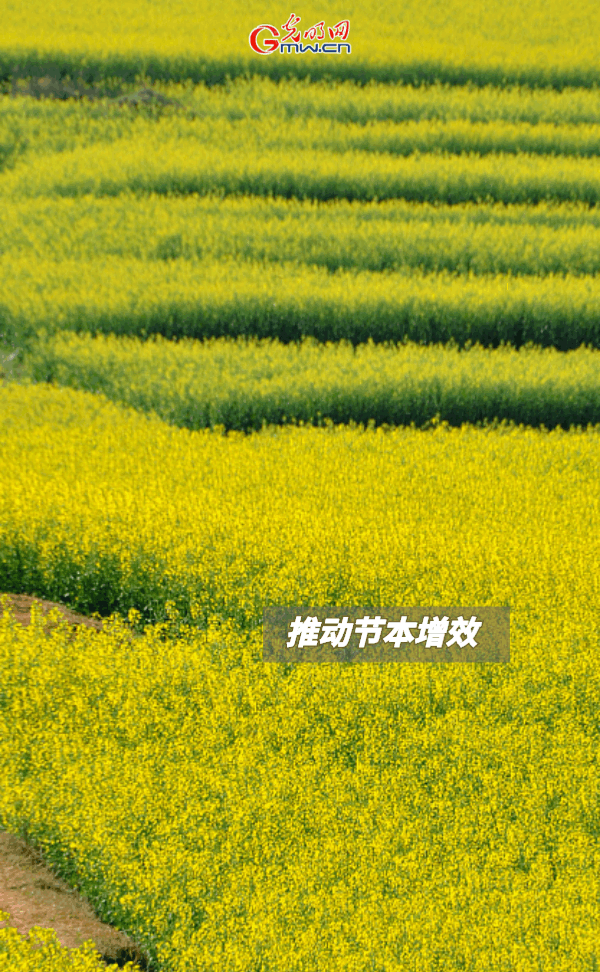 【动态海报】保障全年粮食丰收，这些支持政策明确了！