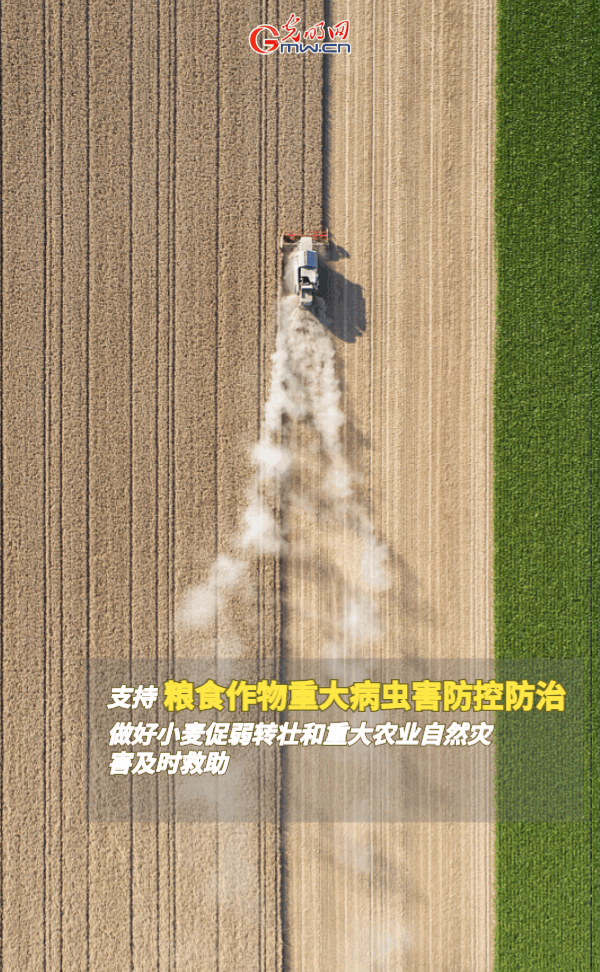 【动态海报】保障全年粮食丰收，这些支持政策明确了！