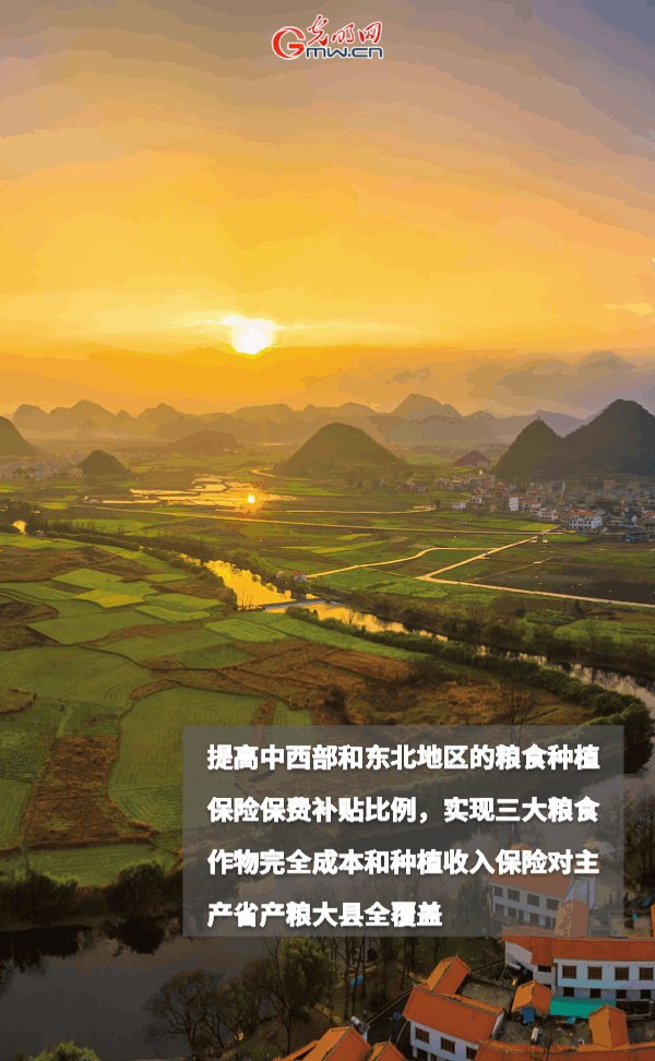【动态海报】保障全年粮食丰收，这些支持政策明确了！