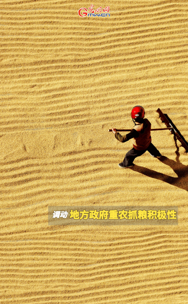 【动态海报】保障全年粮食丰收，这些支持政策明确了！
