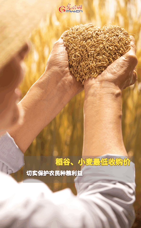 【动态海报】保障全年粮食丰收，这些支持政策明确了！