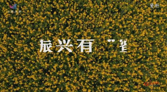 乡村振兴有“蜜”方