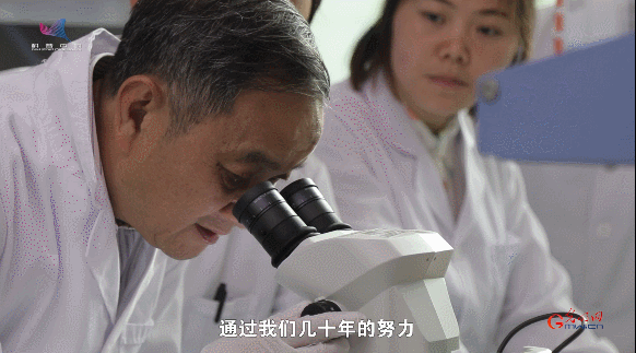 “熊猫院士”魏辅文：着迷大熊猫三十载 甘当国宝“捡屎官”