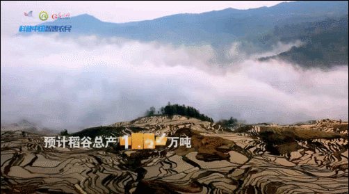 世界粮食日｜卫星瞰亿亩梯田 好一幅绝美“丰”景