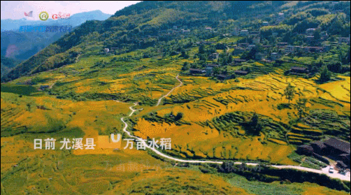 世界粮食日｜卫星瞰亿亩梯田 好一幅绝美“丰”景