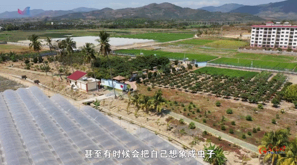 【追梦南繁】“雷达哨兵”张浩文：吹响迁飞害虫预警“第一哨”