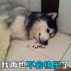 汉堡、薯条，小蛋糕这类超加工食品，究竟是味蕾的盛宴还是健康的隐患？