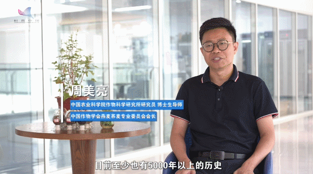 古老备荒作物 今日焕发“新生”——对话荞麦专家周美亮