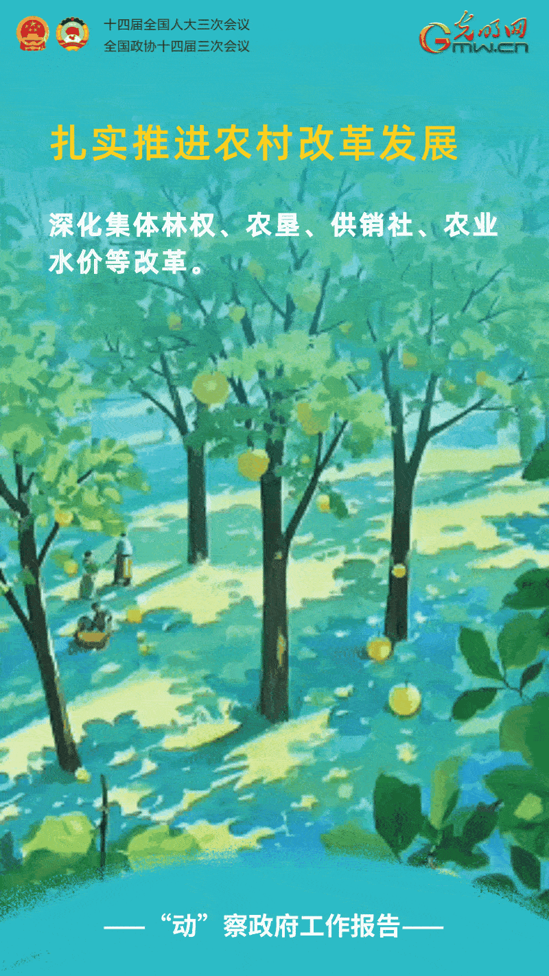“动”察政府工作报告｜强农惠农富农，扎实推进农村改革发展