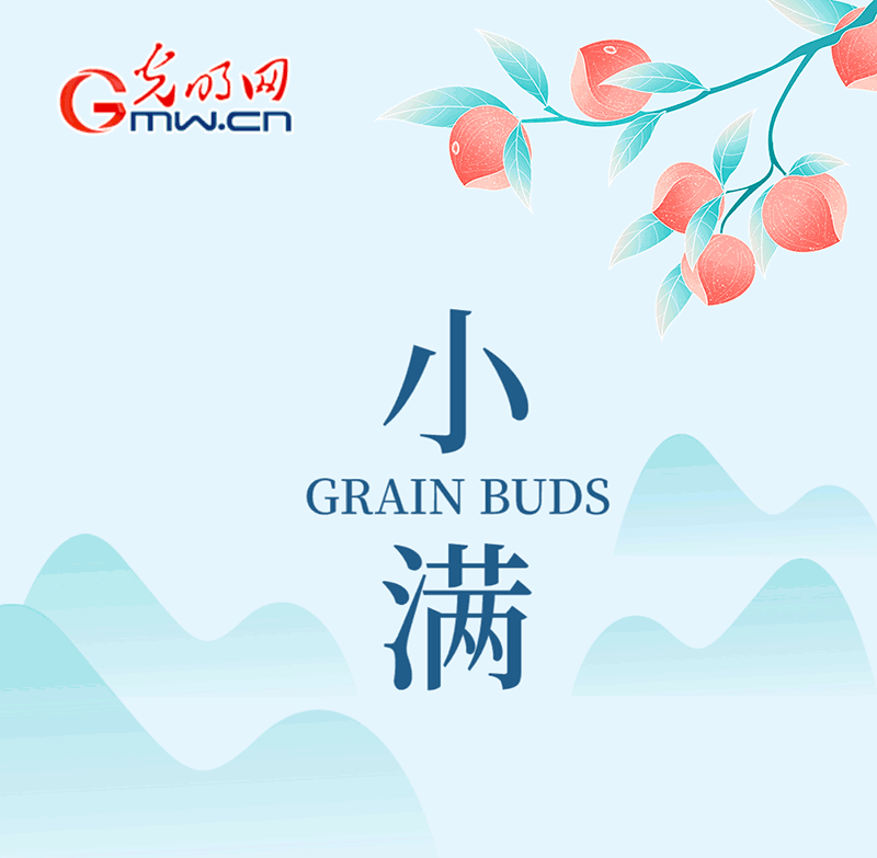 AIGC长图·小满丨物致于此，小得盈满