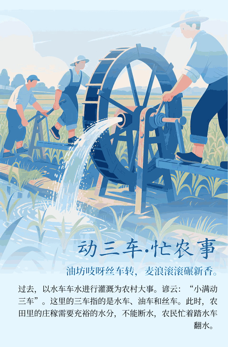 AIGC长图·小满丨物致于此，小得盈满