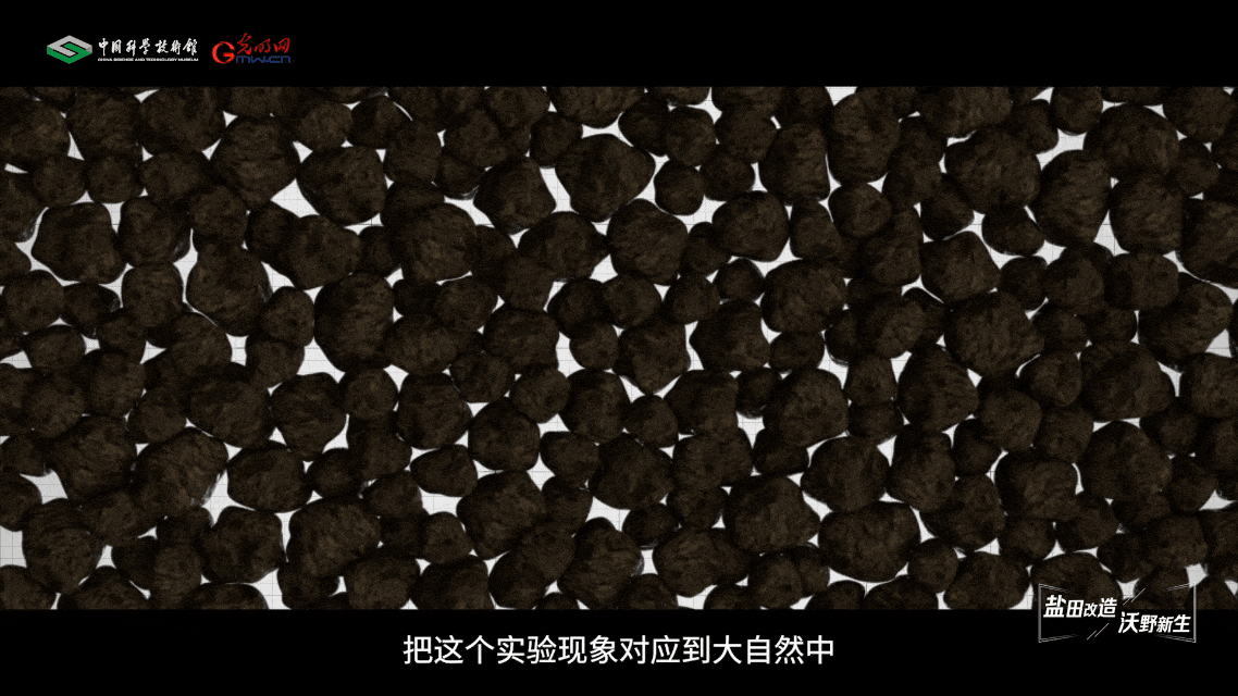 【智造未来】盐田改造 沃野新生——盐碱地改良治理技术