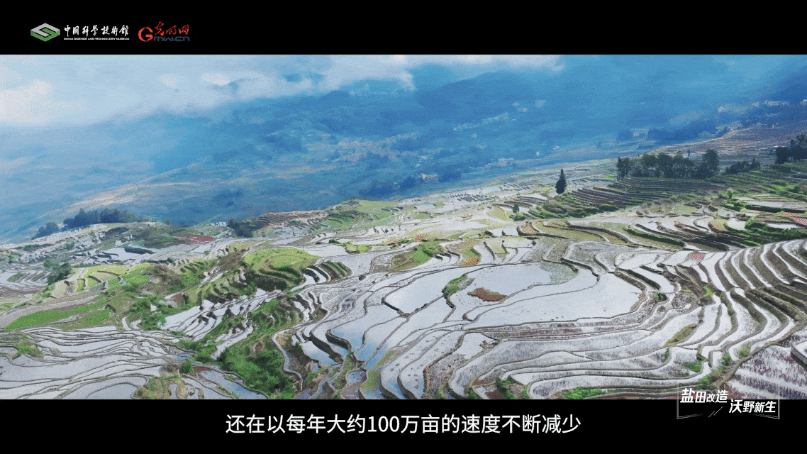 【智造未来】盐田改造 沃野新生——盐碱地改良治理技术