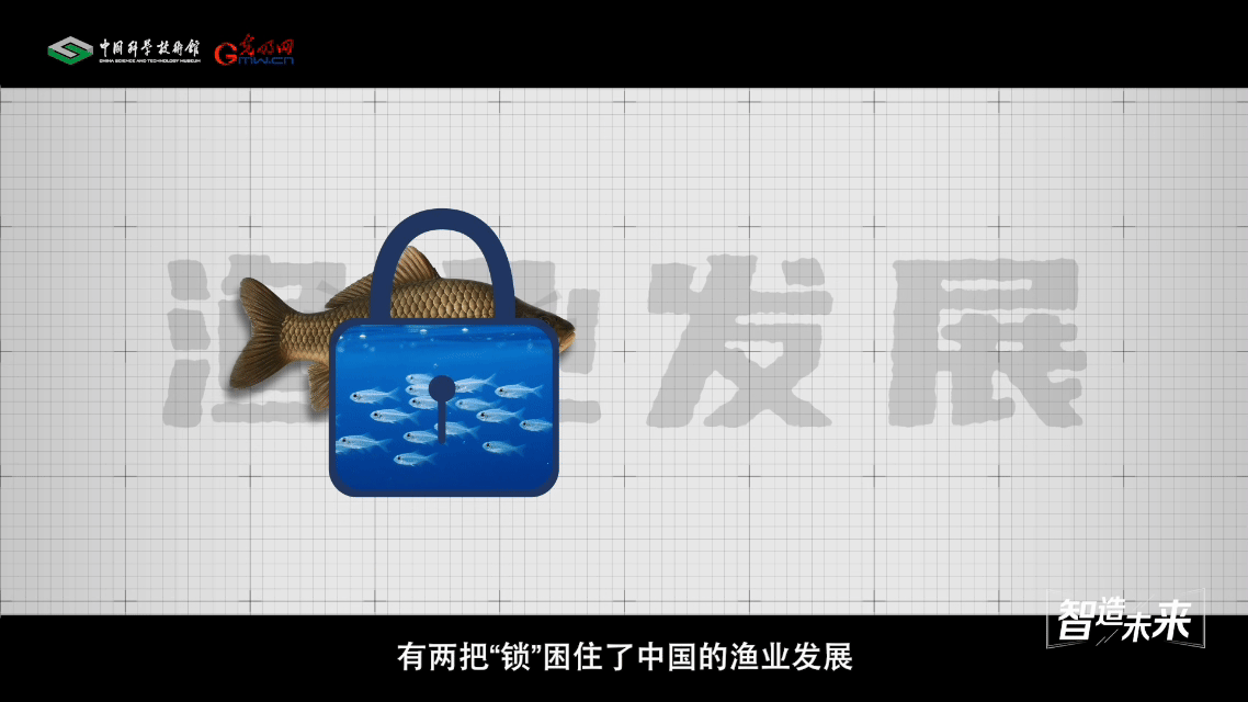 【智造未来】蓝色粮仓 远缘育新——鱼类远缘杂交技术