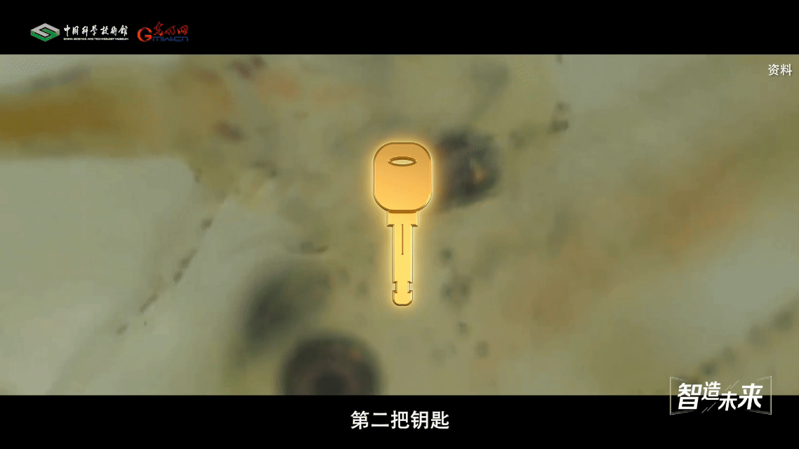 【智造未来】蓝色粮仓 远缘育新——鱼类远缘杂交技术