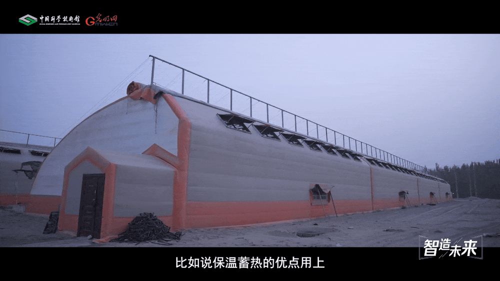 【智造未来】沙漠稻香 科技兴农——沙漠温室水稻快速繁育技术