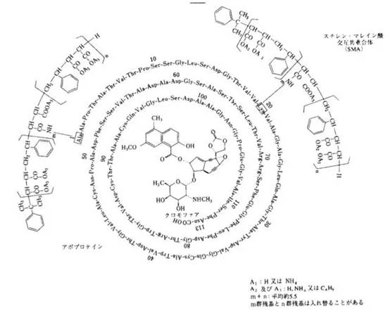 日本科学家阐明：绝大多数抗癌药物为何药效低副作用大？