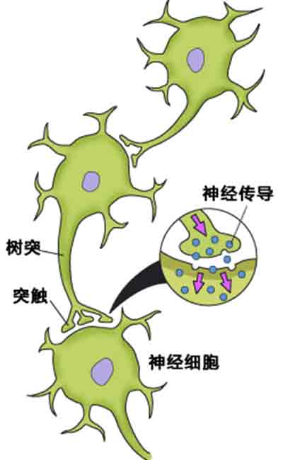 抽奖上瘾？大脑中有一种物质让你“欲罢不能”