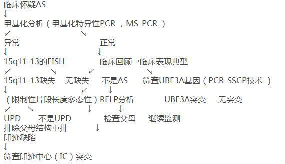 罕见病百科之天使综合症