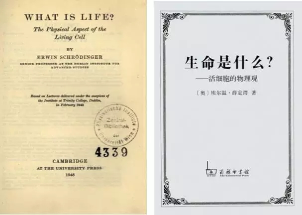 关于薛定谔，你不知道的七件事
