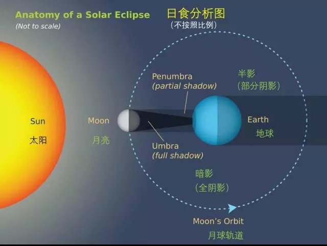 如果没有月球，地球会怎样？