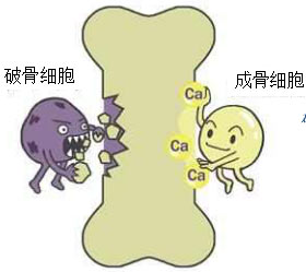 即将上天的这项实验 有望为近2亿中国人的健康带来福音 即将上天的这项实验 有望为近2亿中国人的健康带来福音