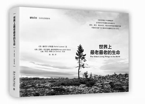 寻找最老最老的生命