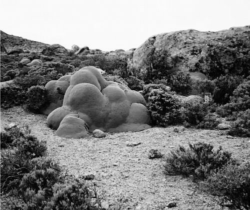 寻找最老最老的生命