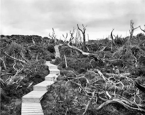 寻找最老最老的生命