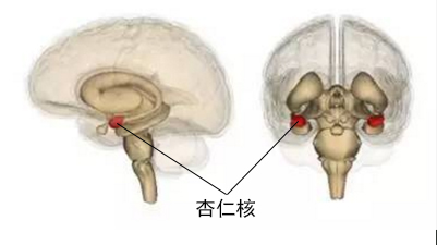 “惊出一身冷汗”是怎么来的？