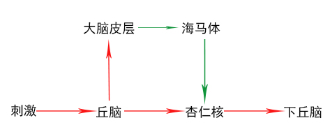 “惊出一身冷汗”是怎么来的？