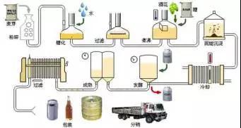 流言揭秘：“啤酒肚”真的是喝啤酒喝出来的吗？