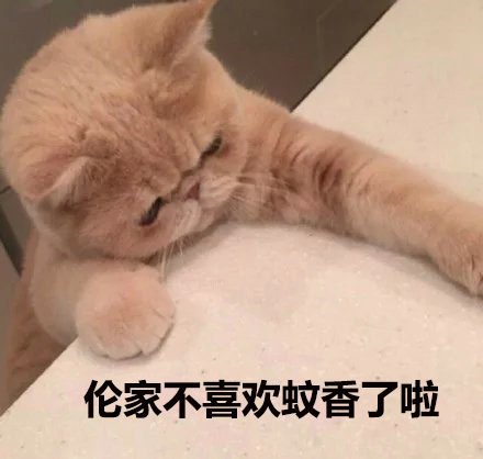 驱蚊警报！蚊香会让猫主子中毒？