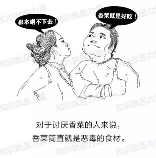 不吃香菜的朋友，你从何处来？