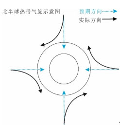 地球自转是如何影响台风旋转的？