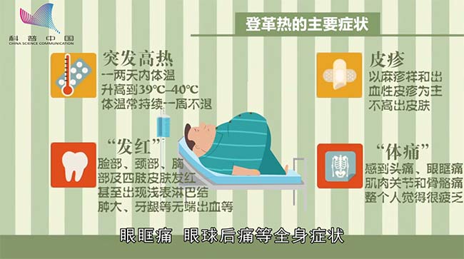 除谣记：登革热“刷存在感”，特效疗法靠谱吗？