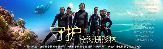 建好炎黄子孙的碧海家园——观《守护南海珊瑚林》有感