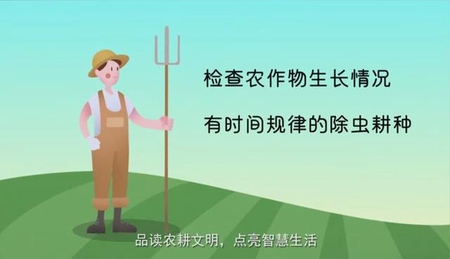 二十四节气与农耕文明系列动画丨为何“小满不满，麦有一险”？