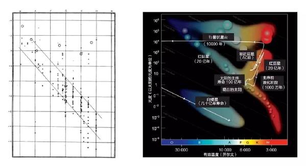 一张图上可以寻迹恒星的身世？话说恒星② | 观天者说