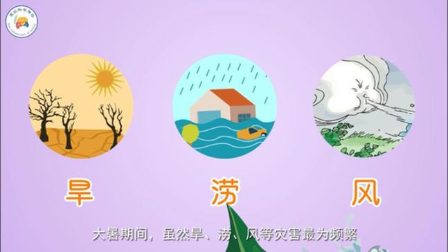二十四节气与农耕文明系列动画|为何说“大暑雨如金”