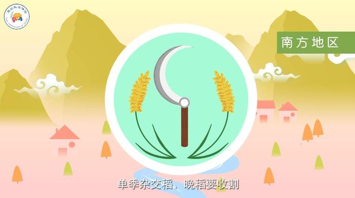 为何说“霜降杀百草”？