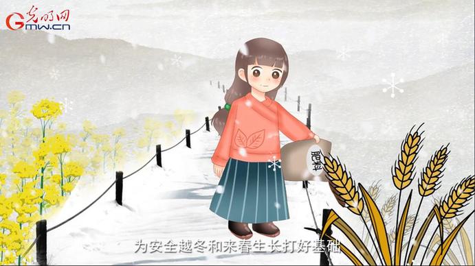 为何大雪节气莫要放松农事？