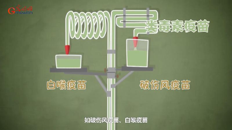 科技战疫系列动画③疫苗研发为何要“兵分多路”作战？