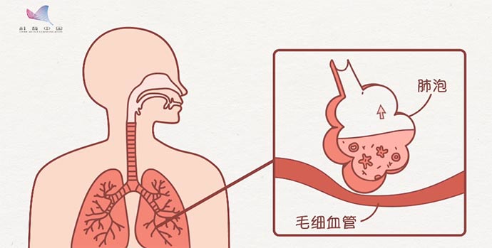 科技战疫系列动画⑥干细胞如何启动“修复技能包”？