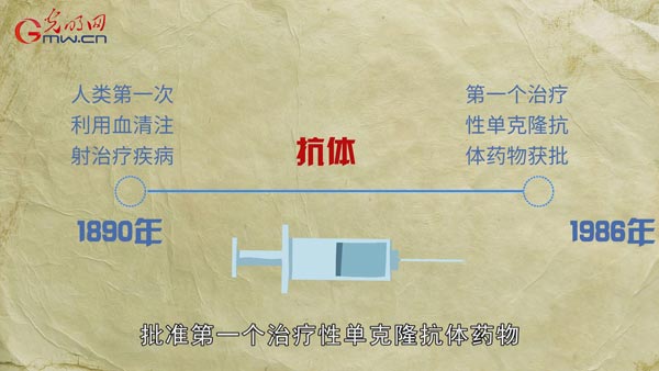 科技战疫系列动画⑦单克隆抗体如何“精确制导”清除病毒？