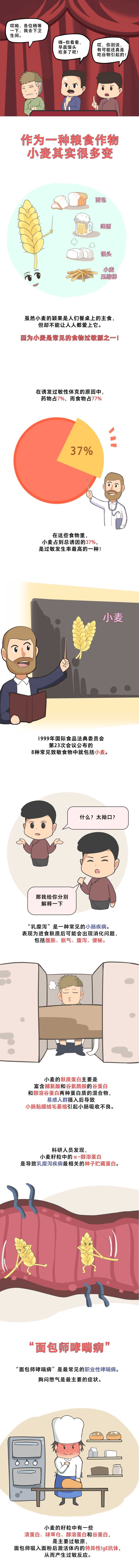 漫画丨吃面包过敏？基因编辑技术给小麦做“脱敏”