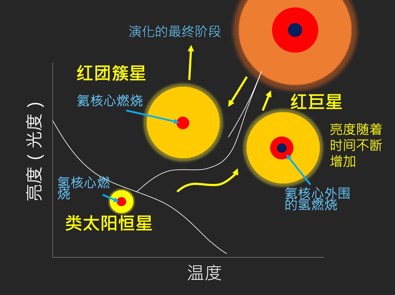 挑战传统理论！科学家如何用“心电图”揭秘富锂巨星