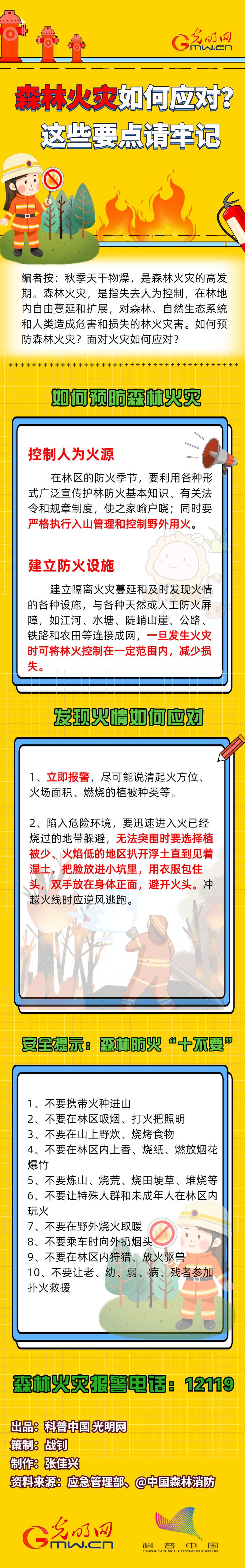 【应急科普】森林火灾如何应对？这些要点请牢记